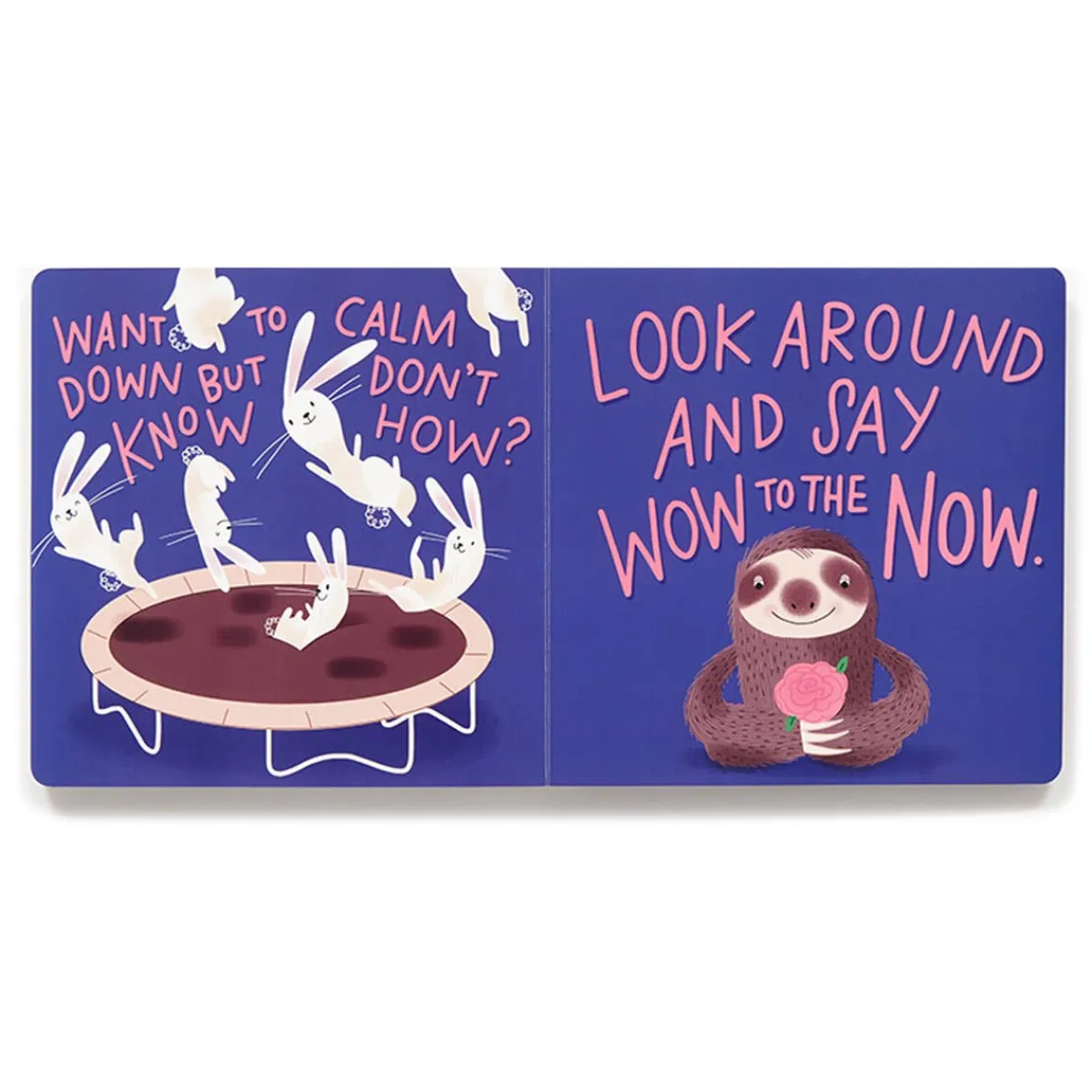 Board Books-Hachette Books Sloth & Smell the Roses