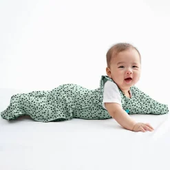 Sleep Sacks + Wraps-Love To Dream Swaddle UP Transition Bag Desco (Original)