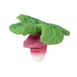 Teethers|Pacifiers + Clips-Oli & Carol Teether