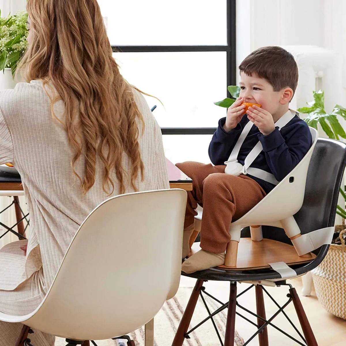 High Chairs & Boosters|Highchairs + Boosters-Lalo The Booster