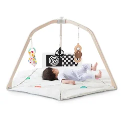 Wooden Toys|Activity Gyms-Lovevery The Play Gym