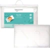 Pillows-Baby Works Toddler Pillow with Bamboo Pillowcase