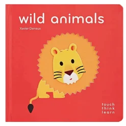 Story Books-Raincoast Books Touch Think Learn
