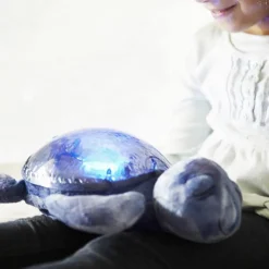 Sound + Light Machines|Lighting-Cloud B Tranquil Turtle