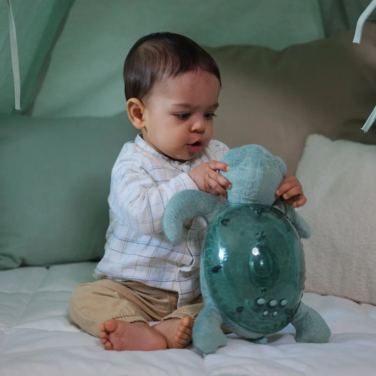 Sound + Light Machines|Lighting-Cloud B Tranquil Turtle (Rechargeable)
