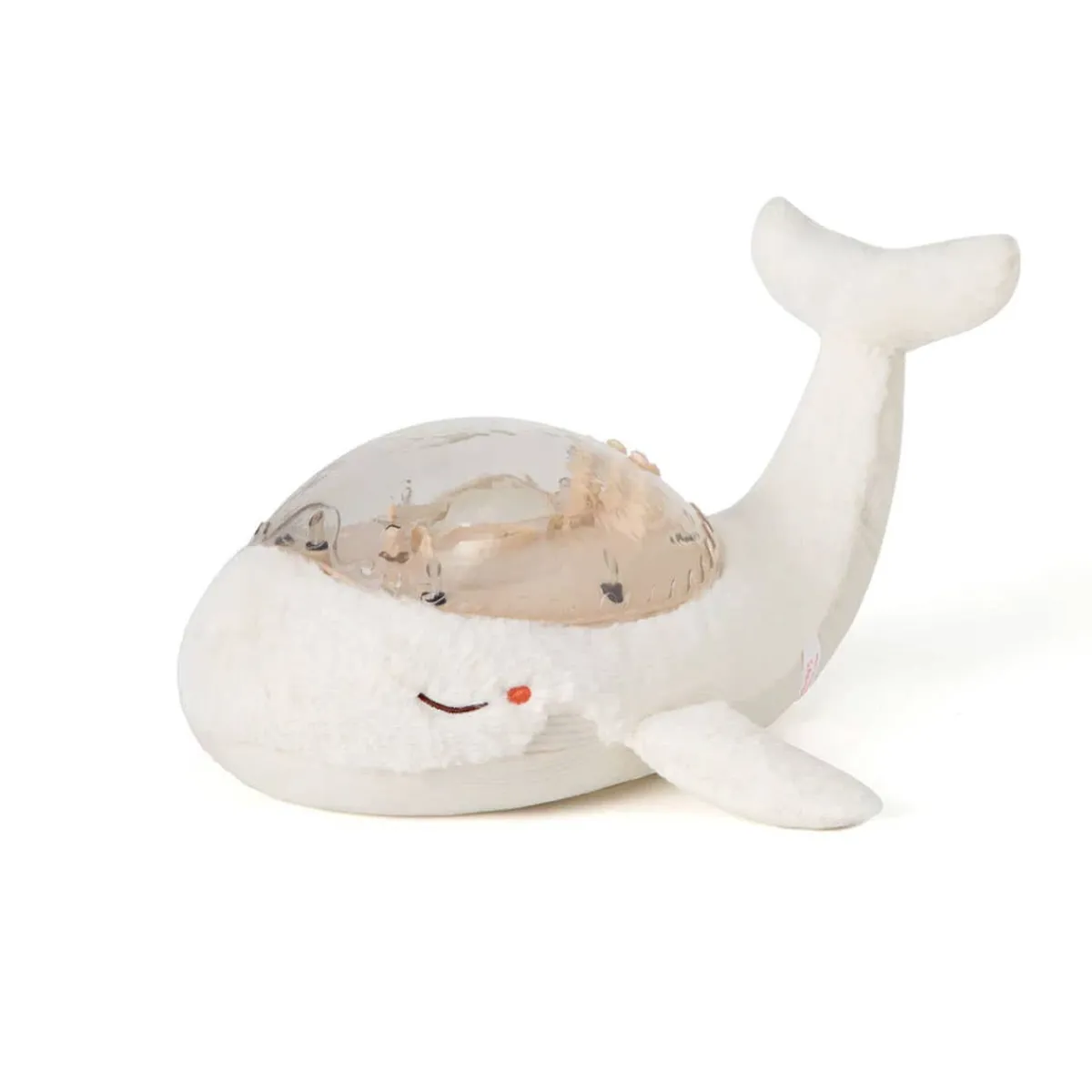 Sound + Light Machines|Lighting-Cloud B Tranquil Whale