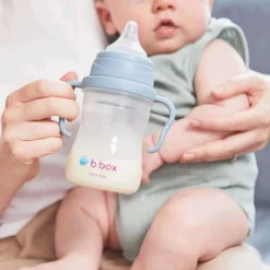 Kids Drinkware|Sippy Cups + Straw Cups-B.Box Transition Value Pack