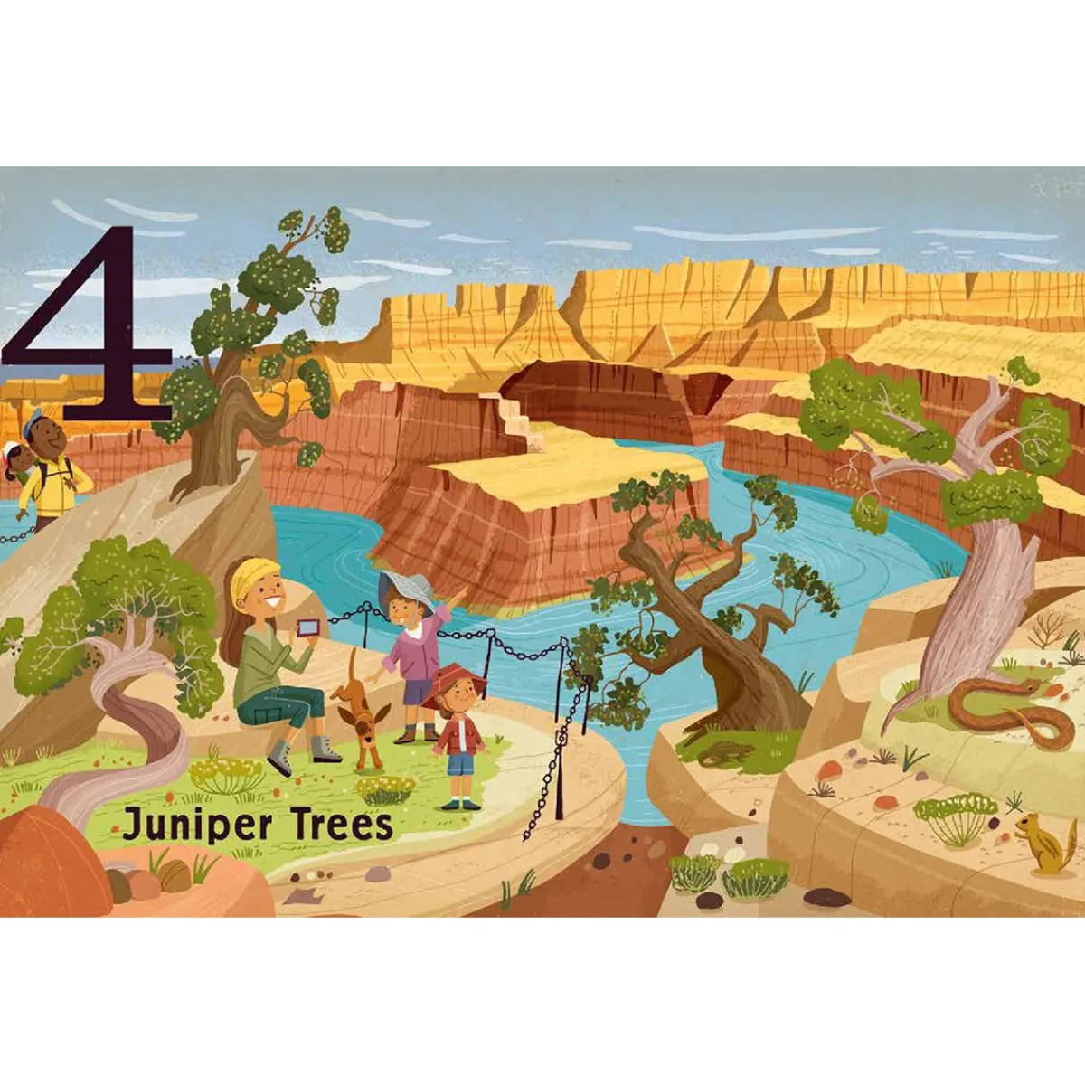 Board Books-Raincoast Books Trees