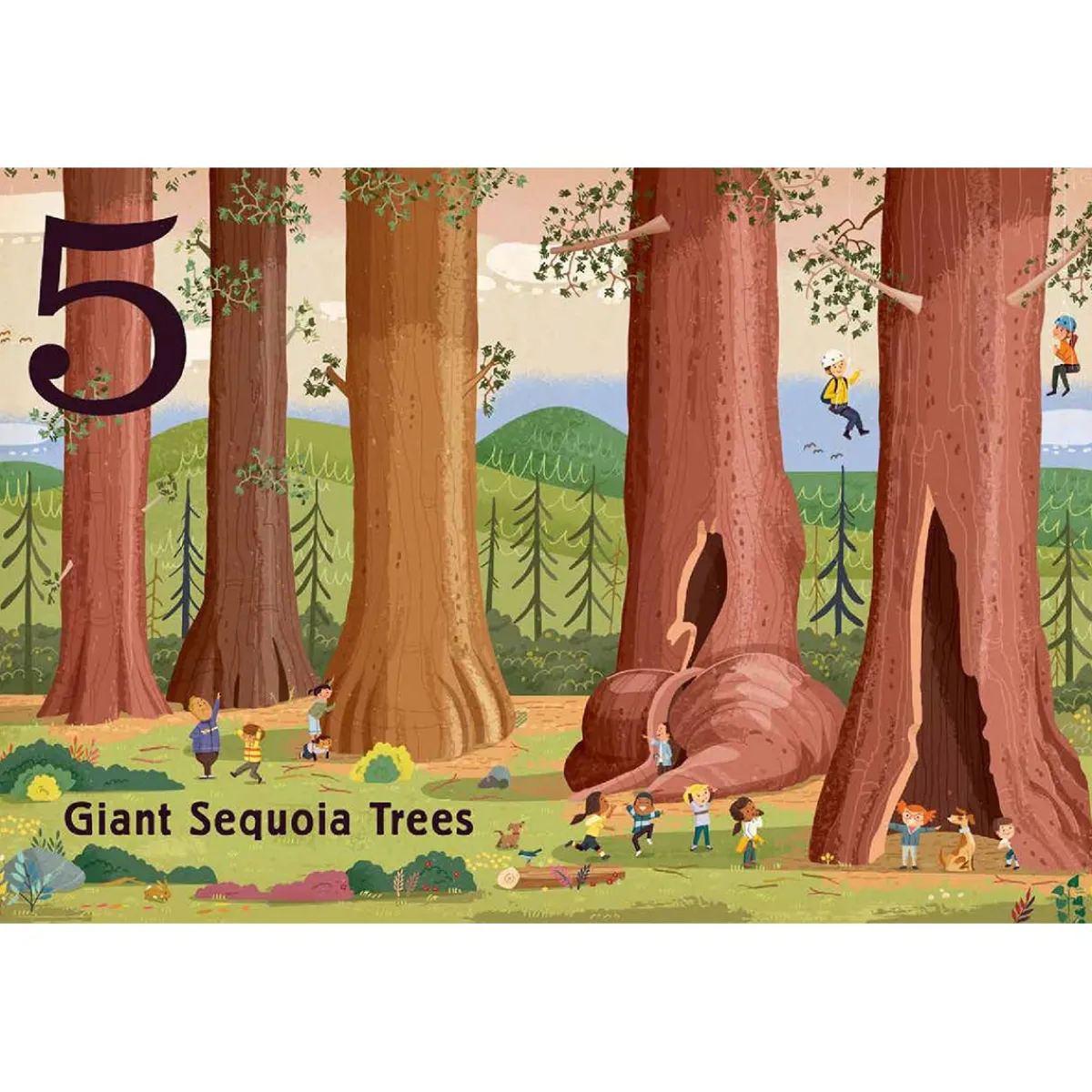 Board Books-Raincoast Books Trees