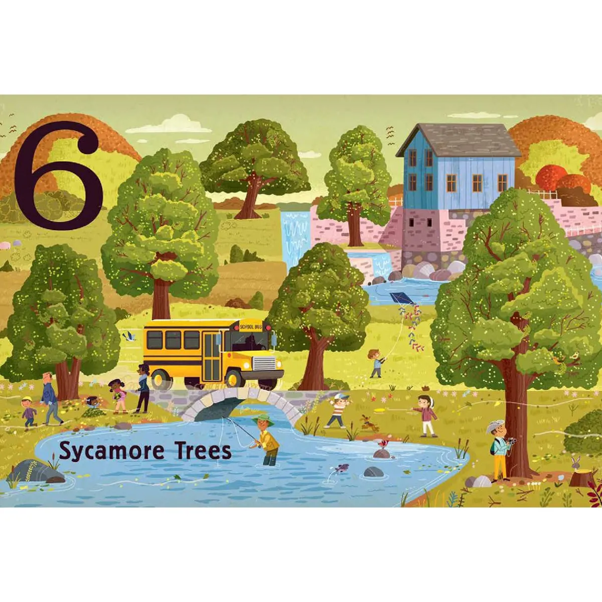 Board Books-Raincoast Books Trees