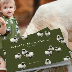Board Books|Story Books-Milkbarn What Do Sheep Count?