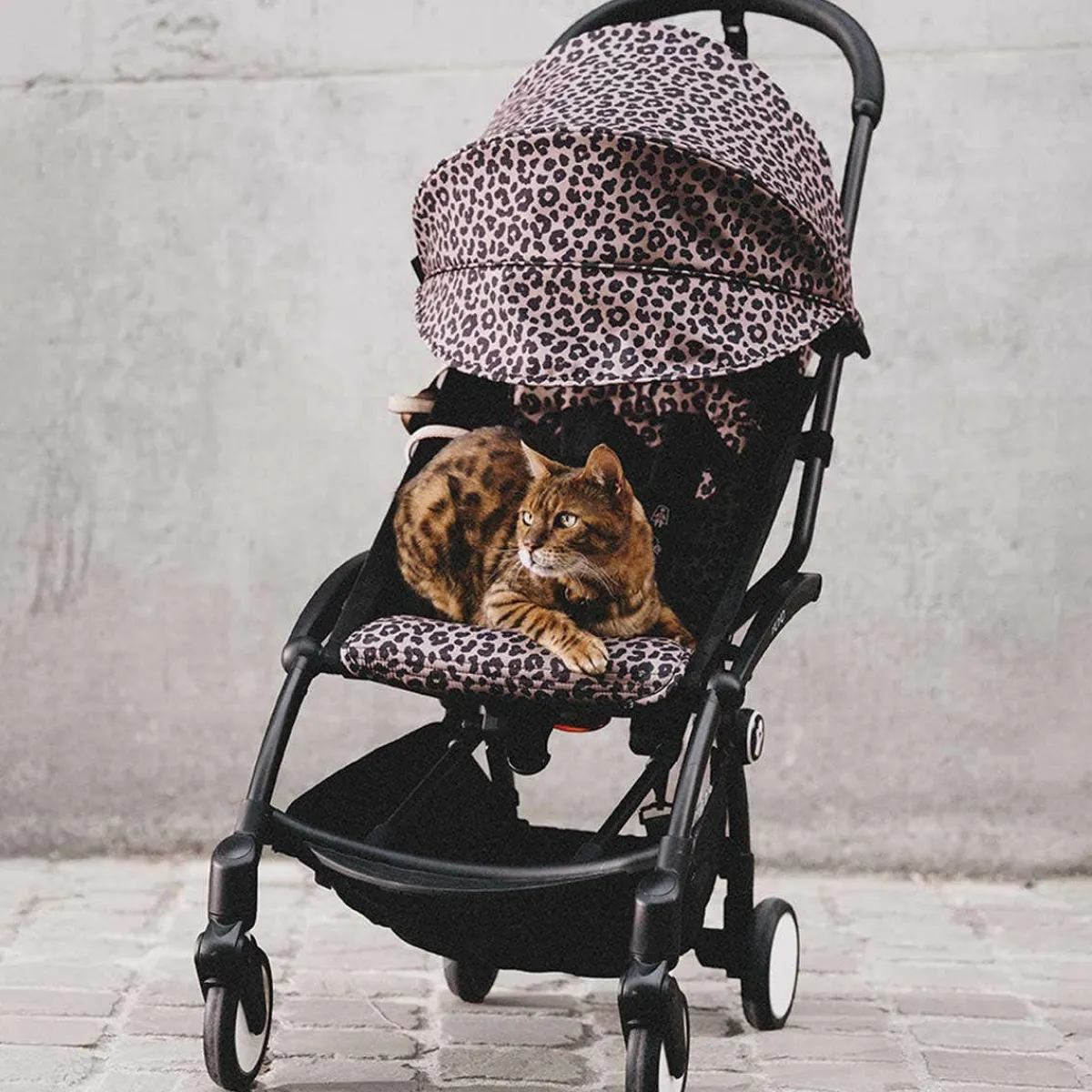Stroller Accessories-Stokke YOYO+® Colour Pack 6+ (Wild Collection)
